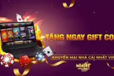 Giftcode Nhat vip – Nhận Code khởi nghiệp, không lo thiếu vốn